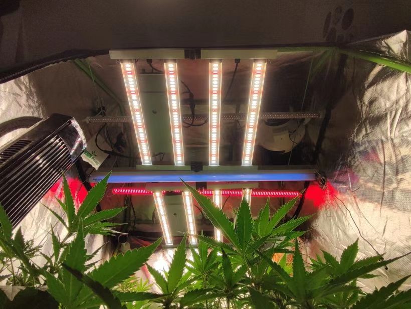 UVA IR FAR RED led grow light